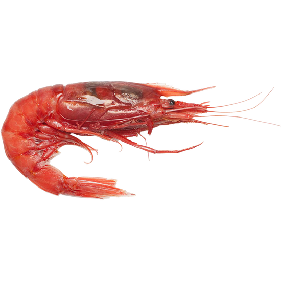 Colatura aus roten Garnelen aus Mazara del Vallo