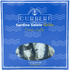 Sardine salate di Sicilia - Dolce Vita Shop - Curreri - Pesce