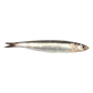 Anchois siciliens salés au piment