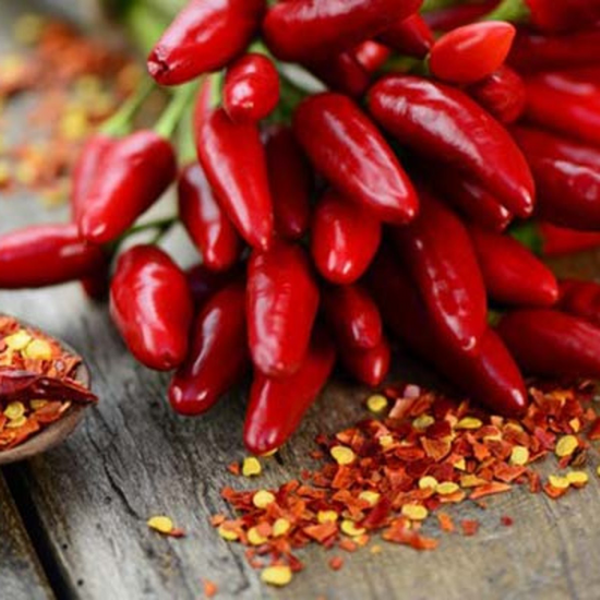 Organic Sicilian hot pepper