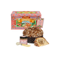 Il Panettone alle Nocciole di Sicilia | Dolce&Gabbana