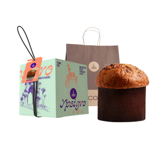 Panettone Gelsi e Cioccolato al Latte Ypsigro | Fiasconaro