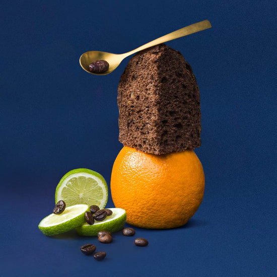 Panettone Cacao e Agrumi di Sicilia | Di Stefano